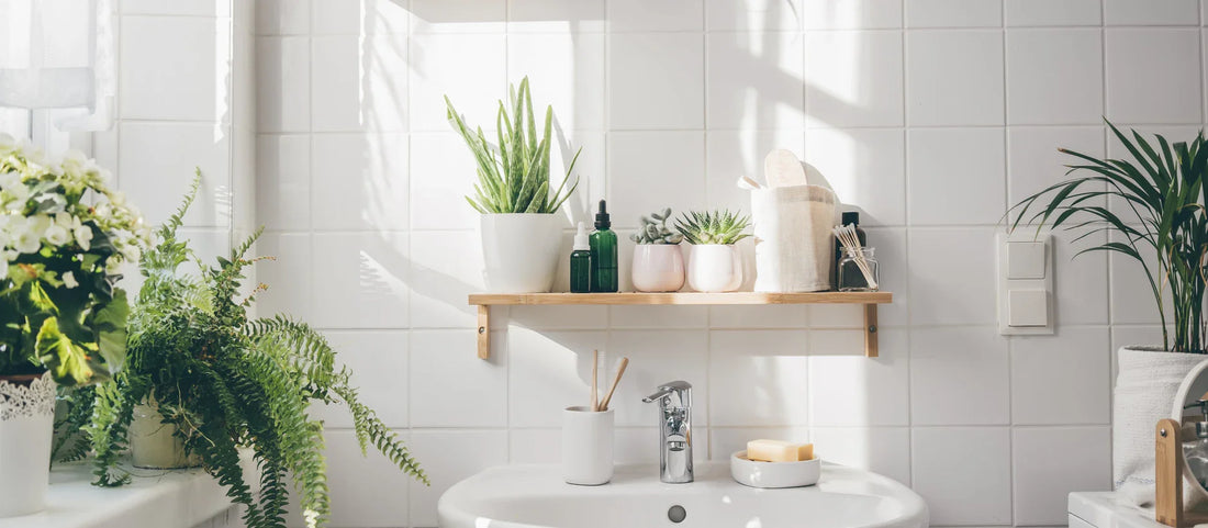 Luxury bathroom accessories including filtered shower head and modern fixtures